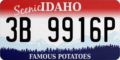 ID license plate 3B9916P
