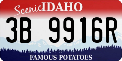 ID license plate 3B9916R