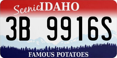 ID license plate 3B9916S