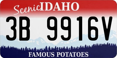ID license plate 3B9916V