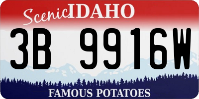 ID license plate 3B9916W