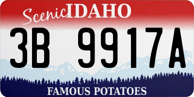 ID license plate 3B9917A
