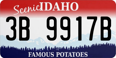 ID license plate 3B9917B