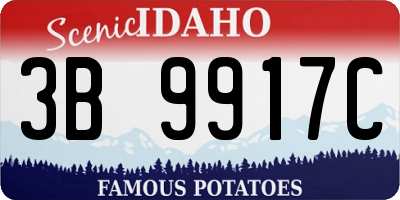 ID license plate 3B9917C