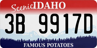 ID license plate 3B9917D