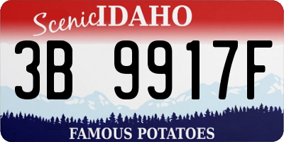 ID license plate 3B9917F