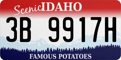 ID license plate 3B9917H