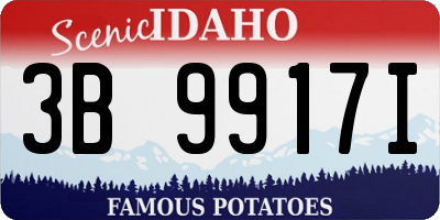 ID license plate 3B9917I