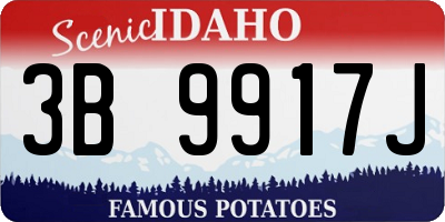 ID license plate 3B9917J