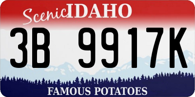 ID license plate 3B9917K