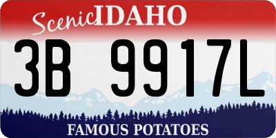 ID license plate 3B9917L