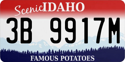 ID license plate 3B9917M