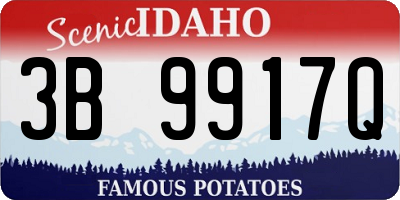 ID license plate 3B9917Q