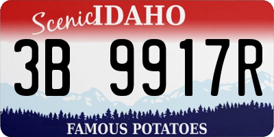ID license plate 3B9917R