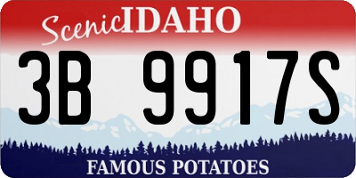 ID license plate 3B9917S