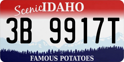 ID license plate 3B9917T