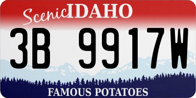 ID license plate 3B9917W