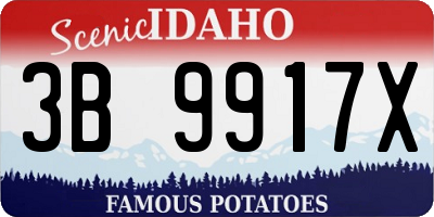 ID license plate 3B9917X