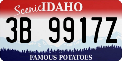 ID license plate 3B9917Z
