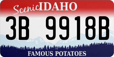 ID license plate 3B9918B