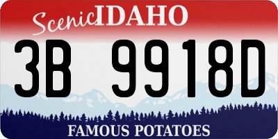ID license plate 3B9918D
