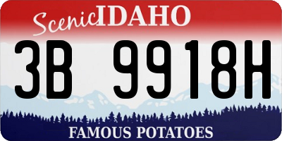 ID license plate 3B9918H