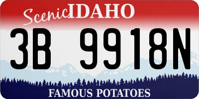 ID license plate 3B9918N