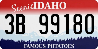 ID license plate 3B9918O