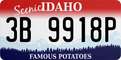 ID license plate 3B9918P