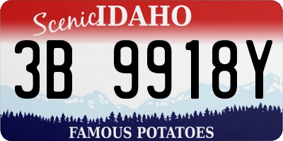 ID license plate 3B9918Y
