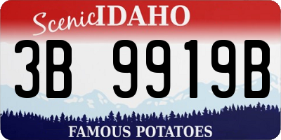 ID license plate 3B9919B
