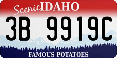 ID license plate 3B9919C