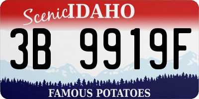 ID license plate 3B9919F