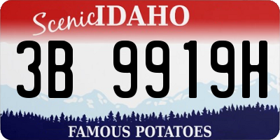 ID license plate 3B9919H