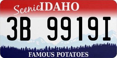ID license plate 3B9919I