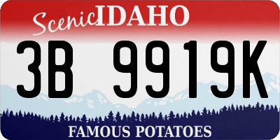 ID license plate 3B9919K