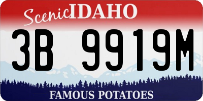 ID license plate 3B9919M
