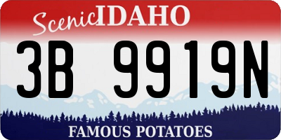 ID license plate 3B9919N