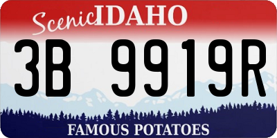 ID license plate 3B9919R