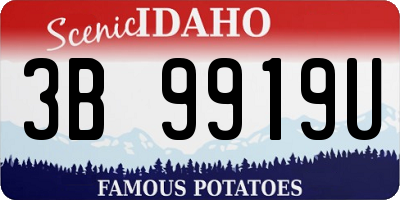 ID license plate 3B9919U