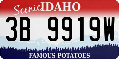 ID license plate 3B9919W