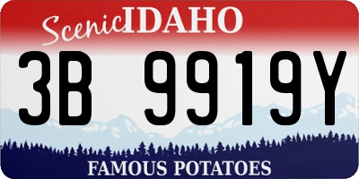 ID license plate 3B9919Y