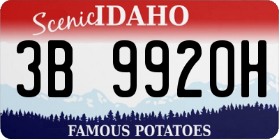 ID license plate 3B9920H