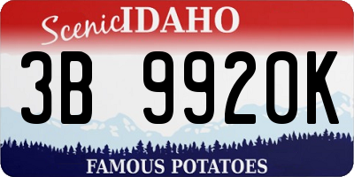 ID license plate 3B9920K