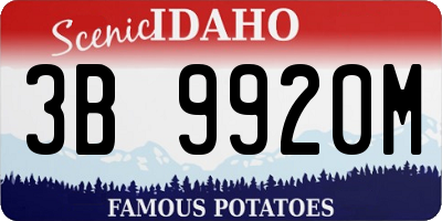ID license plate 3B9920M