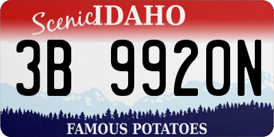 ID license plate 3B9920N