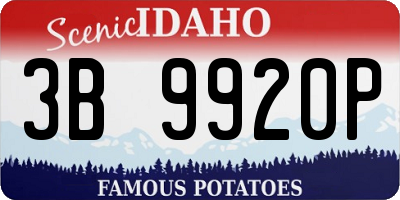 ID license plate 3B9920P