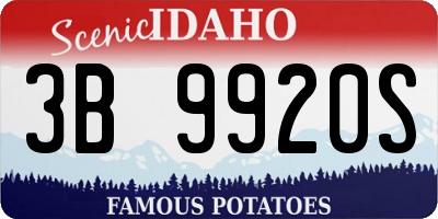 ID license plate 3B9920S