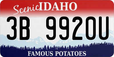 ID license plate 3B9920U