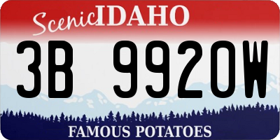 ID license plate 3B9920W